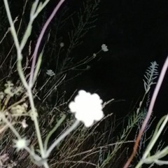 кровь на лбу