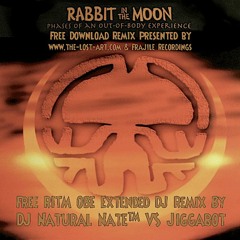 FREE DOWNLOAD- RITM OBE Extended DJ Remix - DJ Natural Nate™ VS Jiggabot