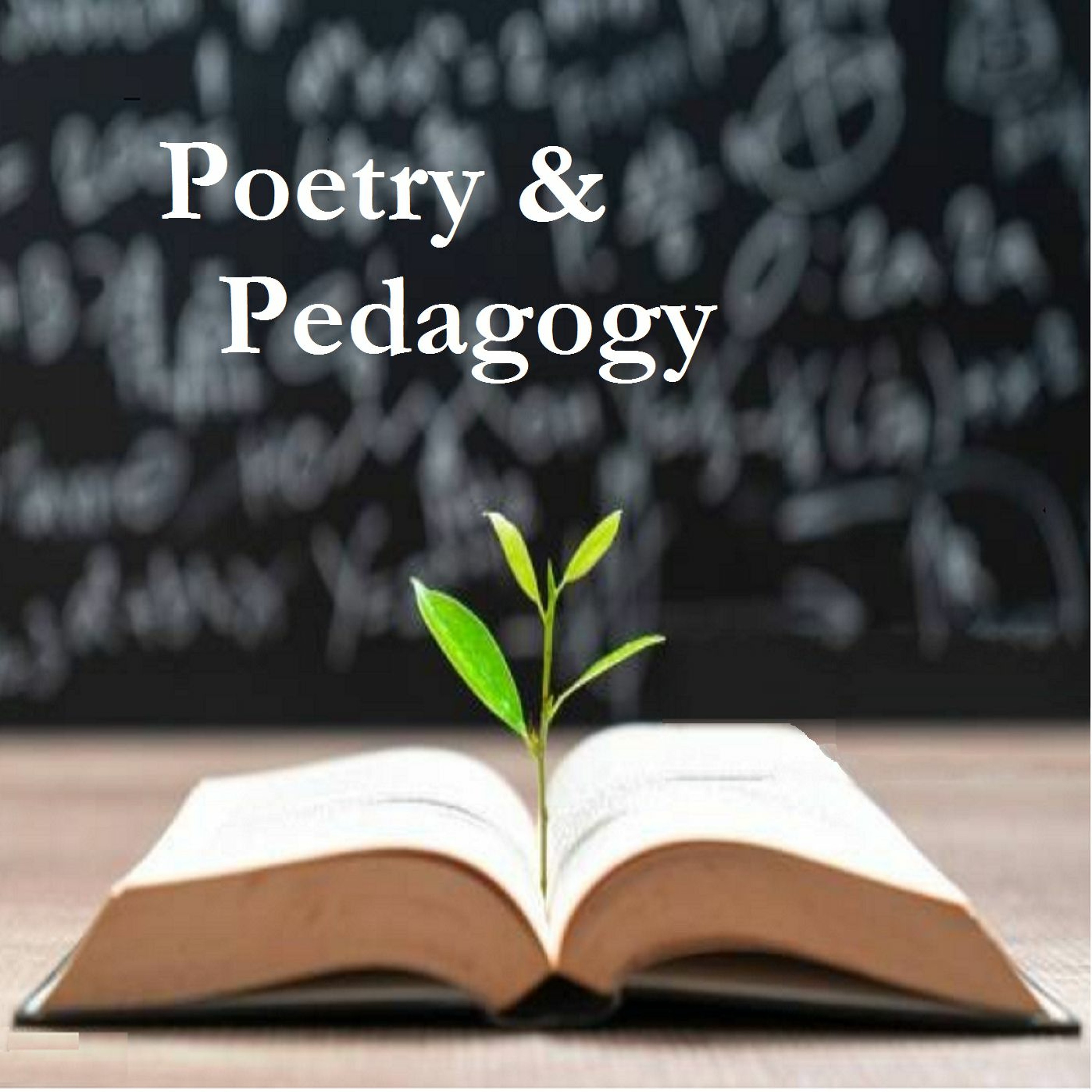 Poetry & Pedagogy
