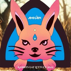 Amháin @ Rabbits Eat Lettuce Festival 2025 | Koo Koo Stage