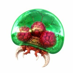 Baby Metroid