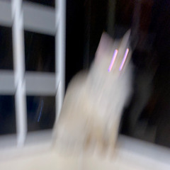 POWDER001