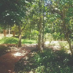 19.10.2025 - Cap. XXIV - Não Coloqueis a Candeia Sob o Alqueire - Não Vades aos Gentios (7)