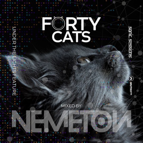 Under The Lights with Forty Cats