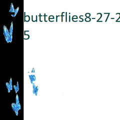 butterflies 8-27-25