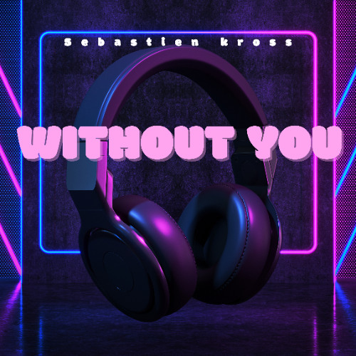 DAVID GUETTA - Without You ( Sebastien Kross Cover Remix)