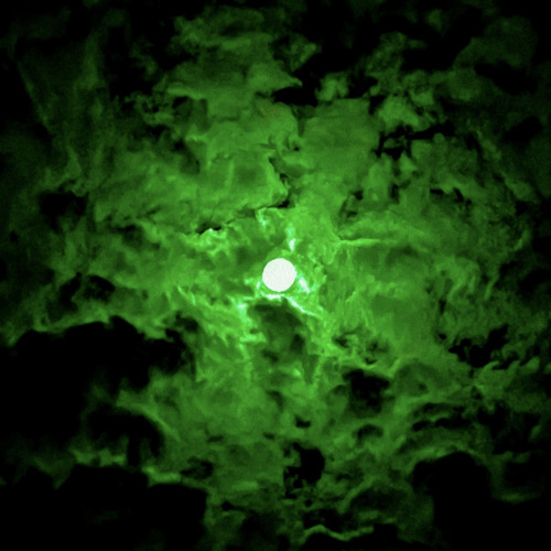 Stream Lean Green | Listen to Greenvillains playlist online for free on ...