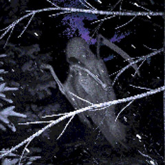 TOTOX - FRANCHE-COMTRIBE  (master escargoza )