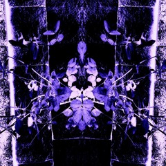 SARM? x dontcry sidney - YOU MADE ME CHRONIC