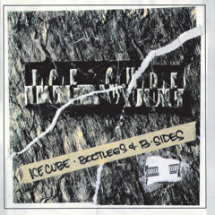 Check Yo Self (Remix) [feat. Das Efx]