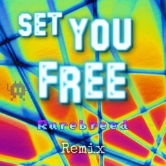 Set You Free - RareBreed Hardcore Remix (sample)