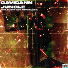 Jungle - Gavidann (Prod By. Asendo X Hoops & Makermadethis)