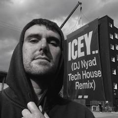 Fred again.. – ICEY (Indian Folk Tech Remix)