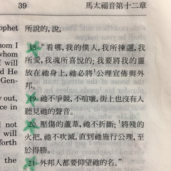 看哪，我的僕人，我所揀選 | 馬太福音 12:18-21 | 感谢主 | Melody by Zion