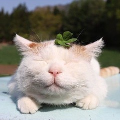 new soul - yael naim | sped up