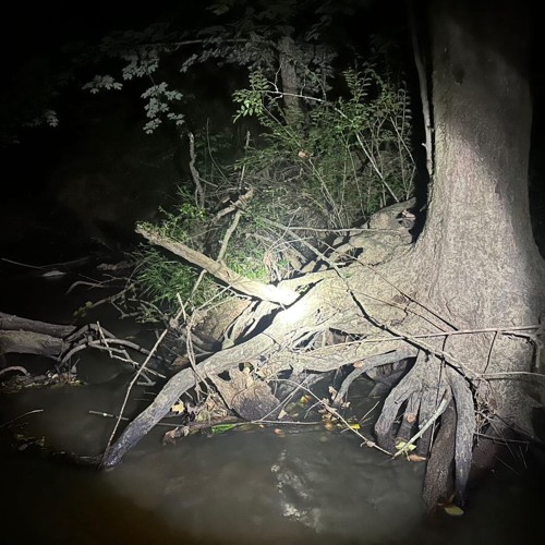 Stream crustgarden - #stayedlame prod varkis #dicotlyfe by dicotradio ...