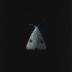 fa·vor·ite (2)