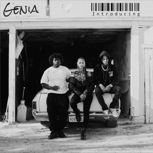Genia - Introducing (WeakenedArtist Remix)