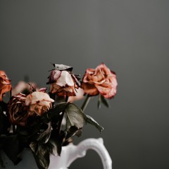 dead roses