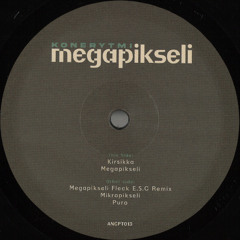 ANCPT013 Konerytmi - Megapikseli EP