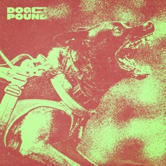 PW PREMIERE | Dog on Acid - You won't be able to live with this (Shft.rar Remix) [TDP03]