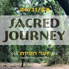 Baraku ✶ Sacred Journey - Nov 2023 ✶ Live Sacred Flow Set