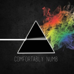 Comfortably Numb 2° Solo - Live in Pulse Version