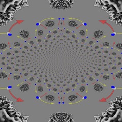 Axis Of Symmetry