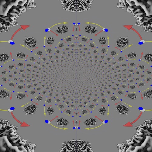 Axis Of Symmetry