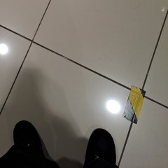 Block de notas [p. okubospyro]