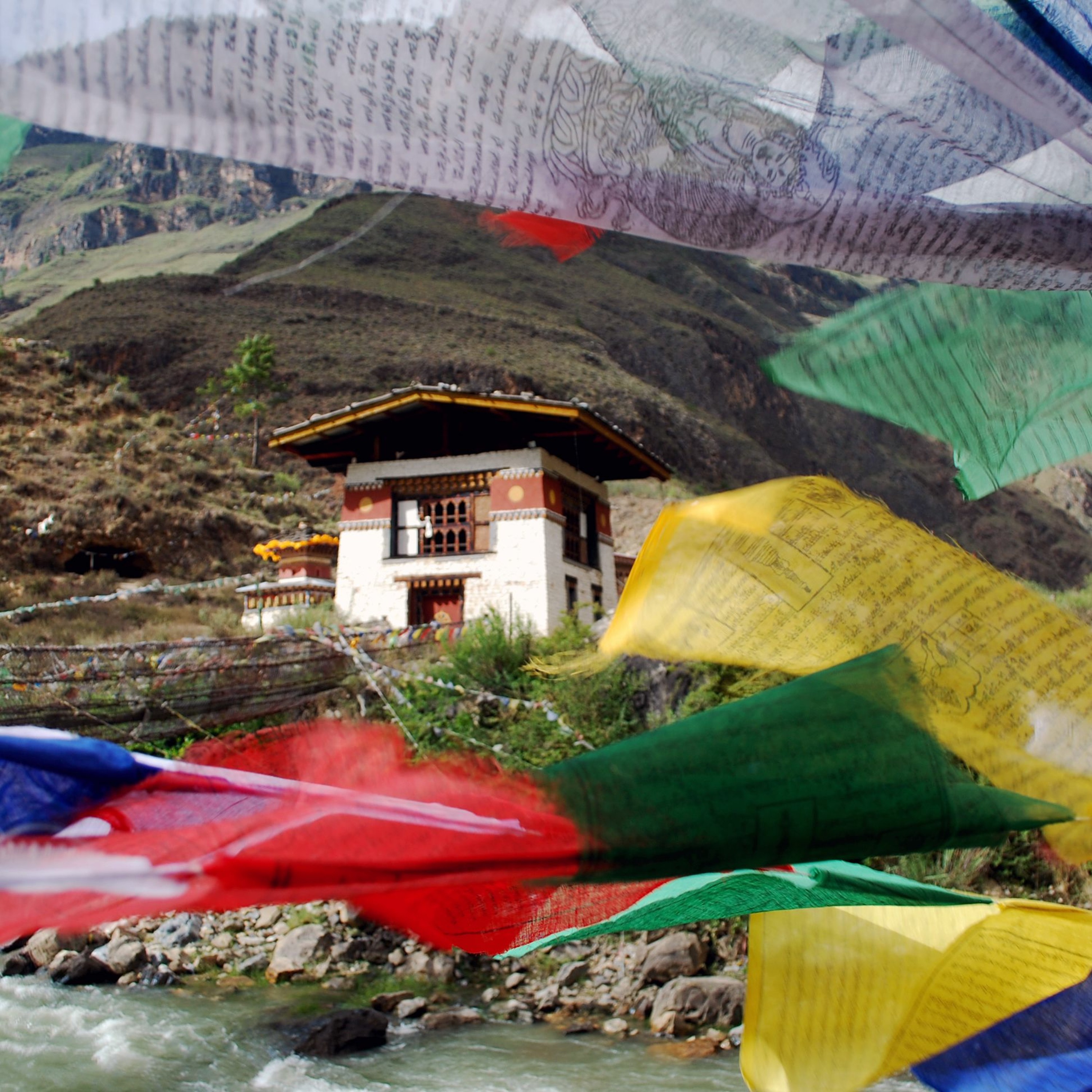 Travel and Purpose