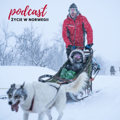 #74 Przyjazd do Norwegii ZIMĄ I NA ŚWIĘTA? Czy to dla Ciebie?