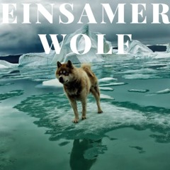 Instrumental Beat Samra Type Beat Einsamer Wolf prod By Valentino Beats