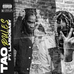 Rules (feat. LlardoBaby)