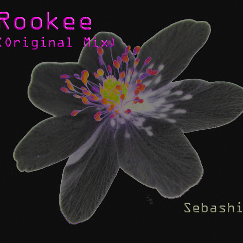 Rookee