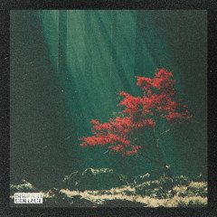 Hank Cianci - Forest Floor