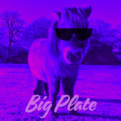 Big Plate (Eatin' Good) Mix