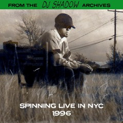 DJ Shadow Spinning Live In NYC, 1996