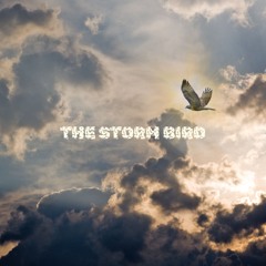 The Storm Bird - DMartino