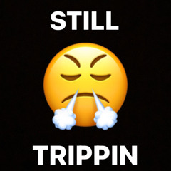STILL TRIPPIN