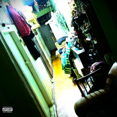 Swallow Freestyle (Bonus Track)