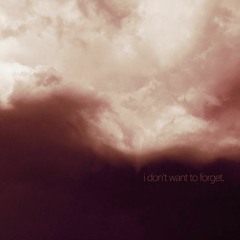 i don't want to forget.