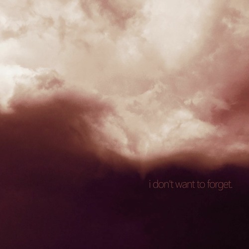 i don't want to forget.
