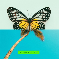 LINKED - COLLABORATION SERIES