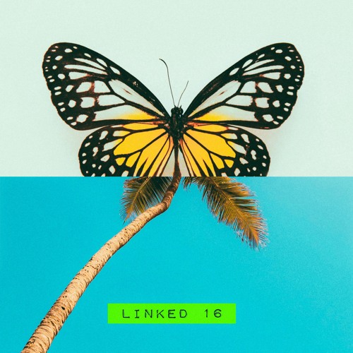 LINKED - COLLABORATION SERIES
