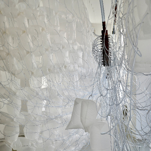 Amaryllis Switch Performance 2025 part 01