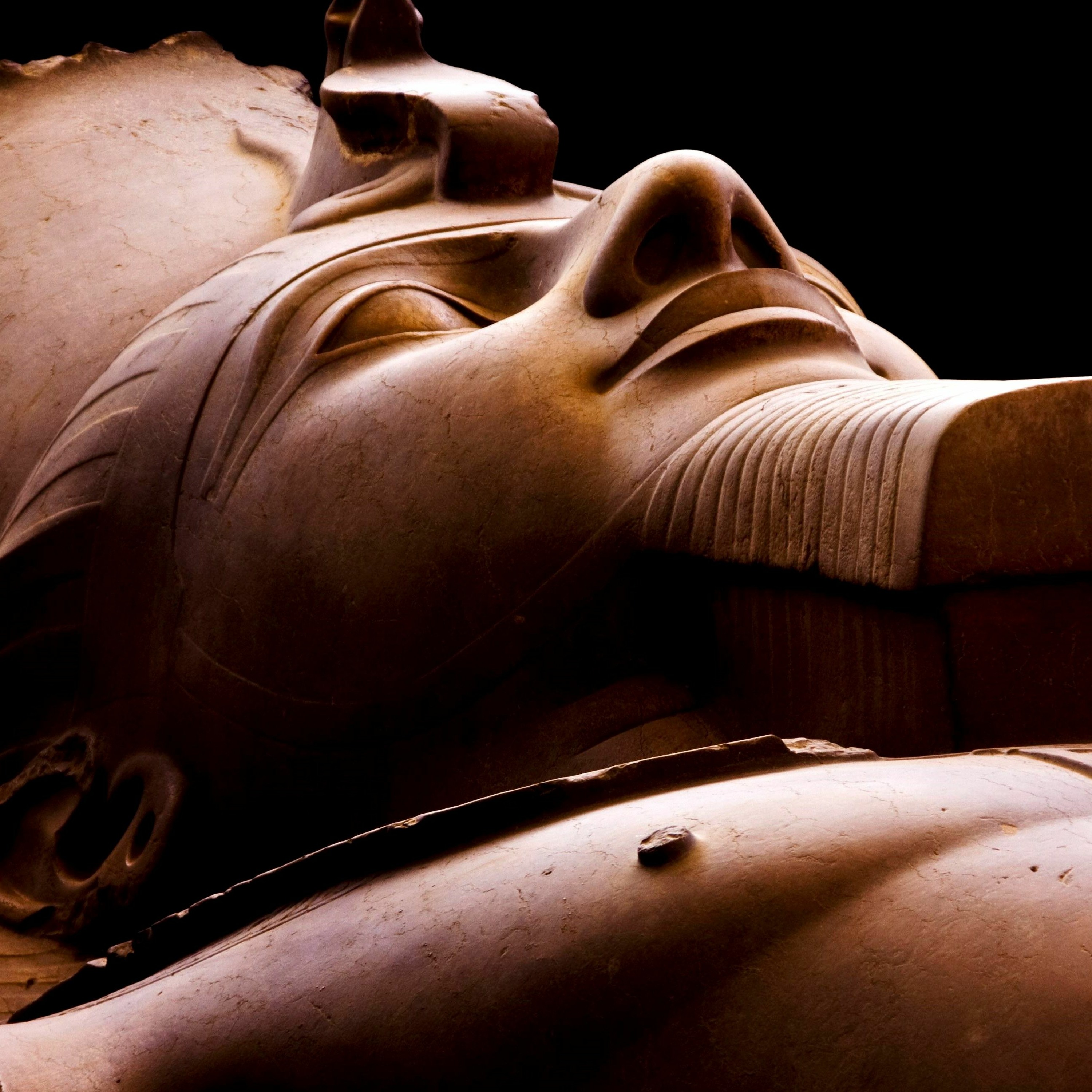 Pharaonica, Flora, and Human Flesh episode artwork
