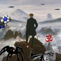 DCR - THE WANDERER - DCOMPOSED