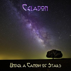 Under a Canopy of Stars | Celadon