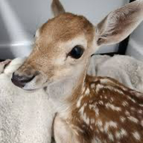 EricDoa - Ill be in ur reach, I promise [Prod. ericdoa]